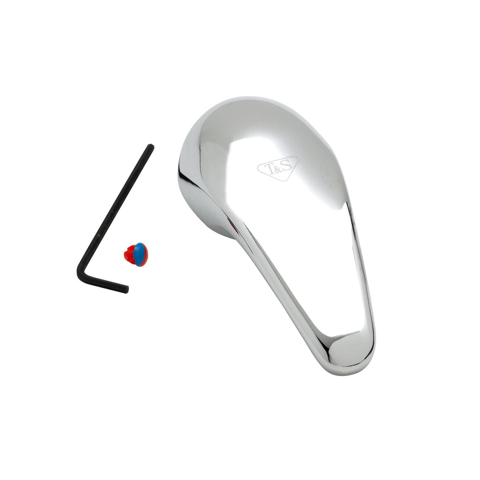T&S Brass 013113-45AM Short Handle - Anti-Microbial Coating