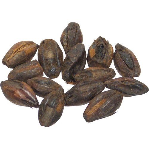 Malt - Briess Chocolate - 5 lb
