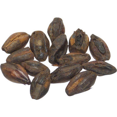 Malt - Briess Chocolate - 5 lb