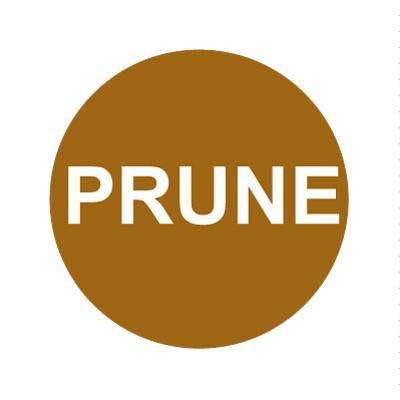 Bargun Button Cap, Round, Prune, Brown Cap, White Letter - PH10-74-130