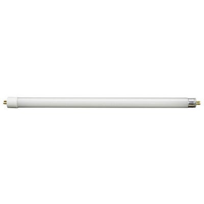 Lancer F8T5/CW Flourescent Lamp Bulb, 8 Watt, 12"