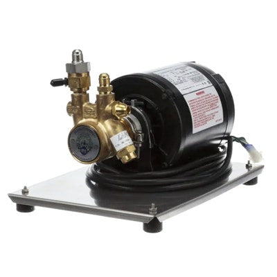 Lancer Pump Remote 1/3HP Assembly