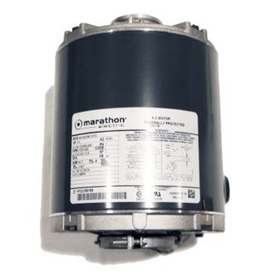Multiplex US Motors Carbonator Motor 115V - 10-1647
