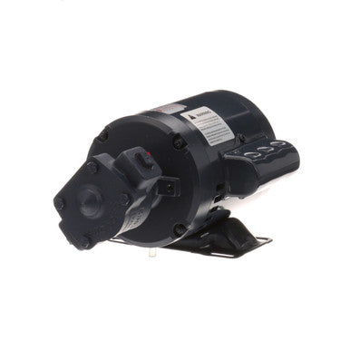 Pitco MOTOR/PUMP Motor 1/2" FPT, 115V