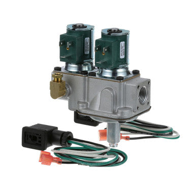 Baso IN/OUT Valve 250,000 BTU, 1/2" FPT Fits Cleveland