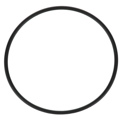 Everpure Filter O-Ring - EV307119