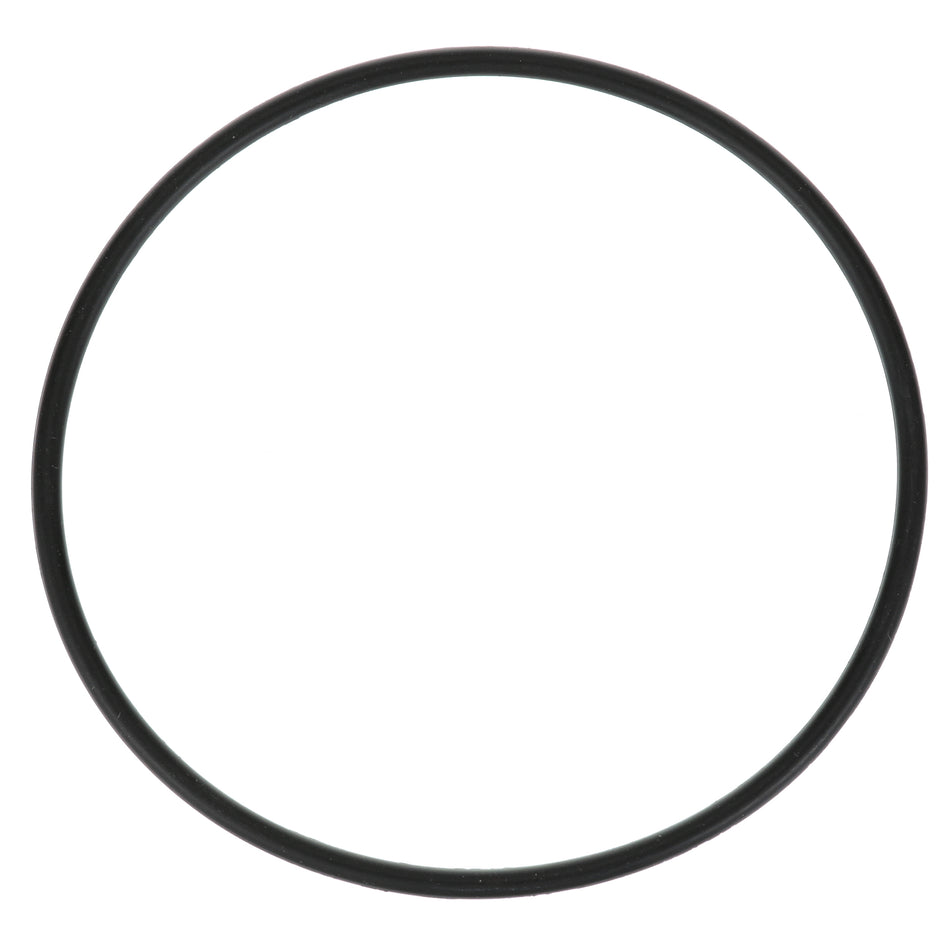 Everpure Filter O-Ring - EV307119