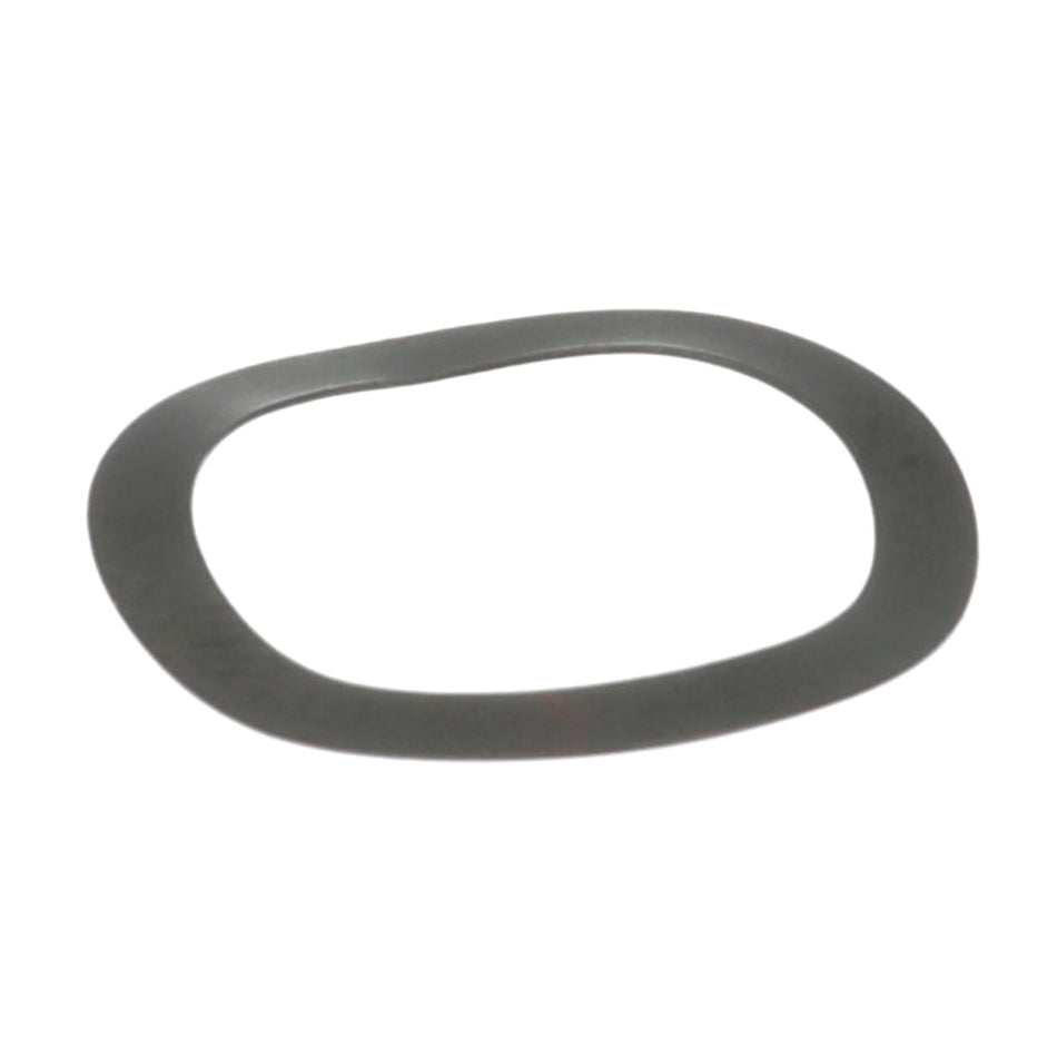 Spring Washer for Waring/Qualheim – view 2