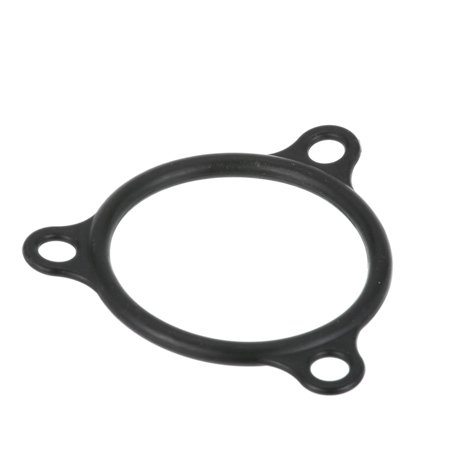 Champion 109985 Element Gasket