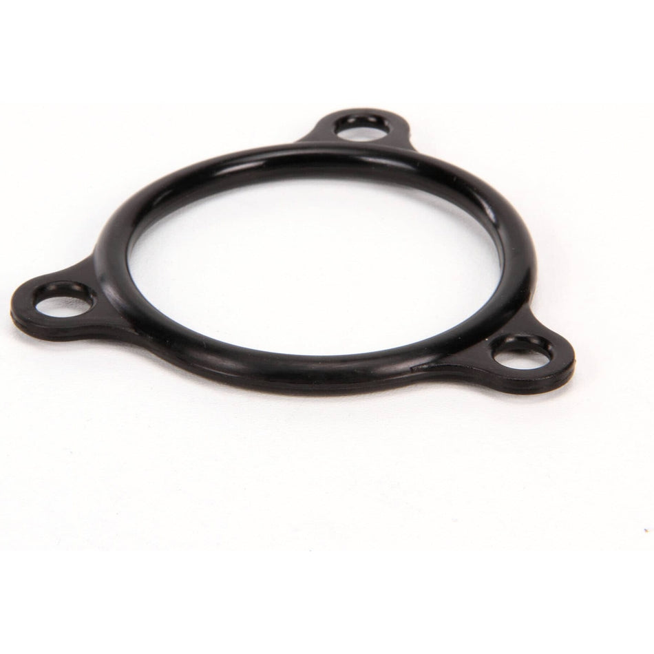 Champion 109985 Element Gasket