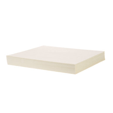16 3/8 in x 18 3/8 in Fryer Filter Paper 100/PKG