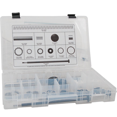 Server 82965 Pump Repair Kit