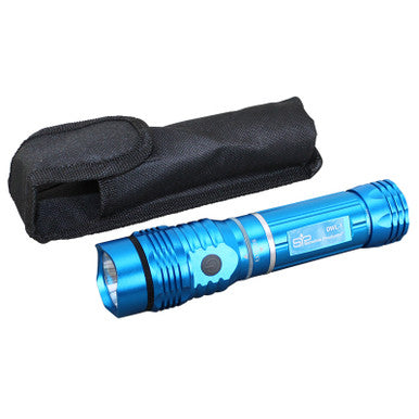Dual Worklight