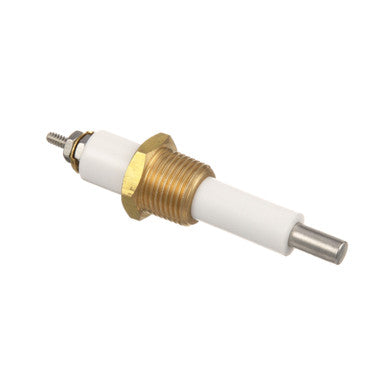 Low Water Level Probe