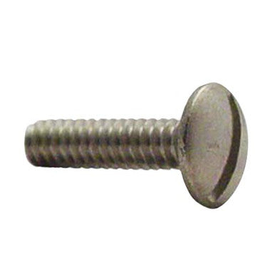 Strainer Mounting Screw