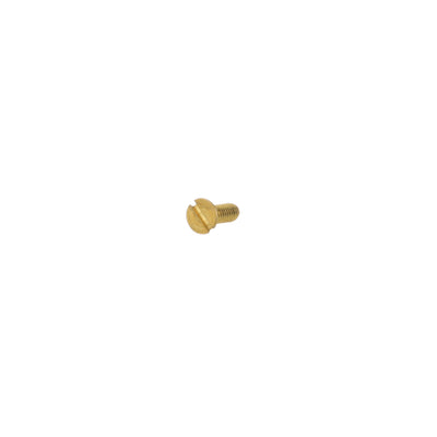 DFS Specialty Brand Drain Grate Screw For Smith Floor Drains