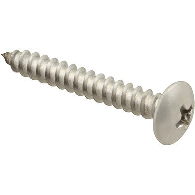 Stainless Steel Screw, Sm/Th (100)