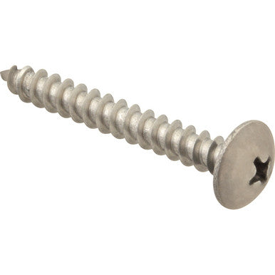 Ss Screw, Sm/Th (100)