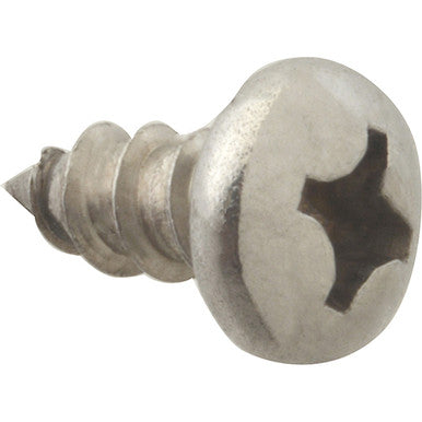 Screw, Sm/Ph/Ss (100)