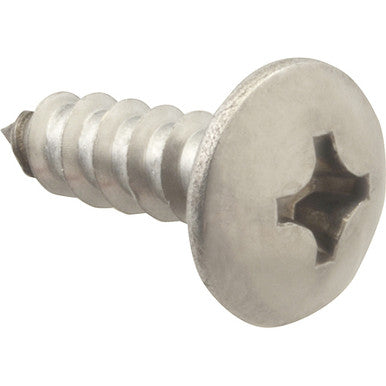 Screw, Stainless Steel Sm/Th (100)