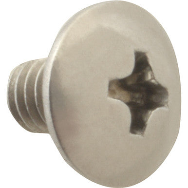 Screw, Th/Ss/Mach (100)