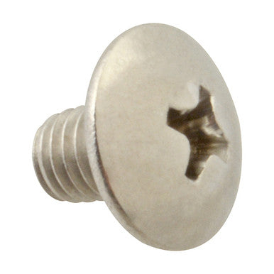 Screw, Mach/Th/Ss (100) 10-32