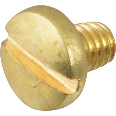 1/4 in Brass Screw