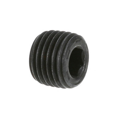 1/4 in Steel Pipe Plug