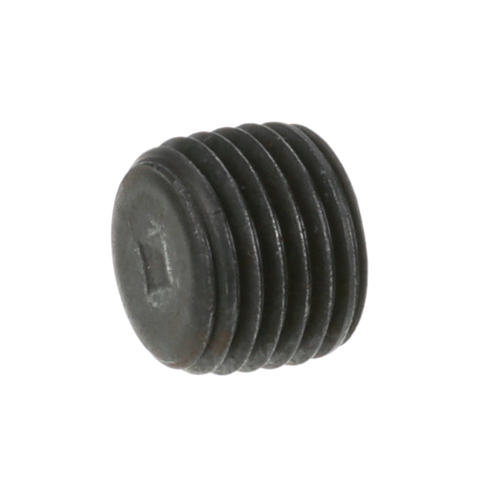 1/4 in Steel Pipe Plug – view 2