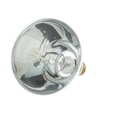120V 250W Infra-Red Lamp K 12