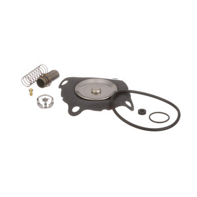 1 in and 1 1/4 in Valve Repair Kit