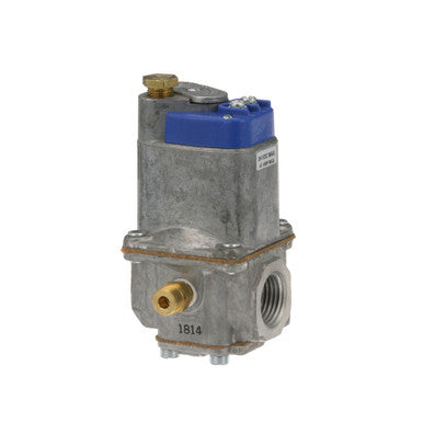 IN/OUT Valve 1/2" FPT, 24V