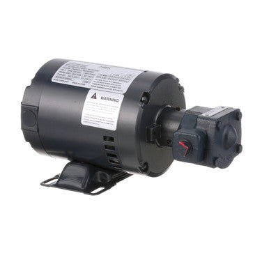 Motor, Pump Ph 1, Assembly