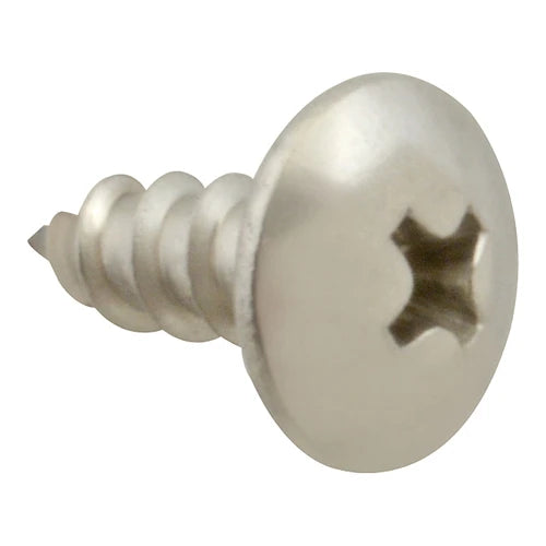 Th/Sm/Stainless Steel 100 Screw