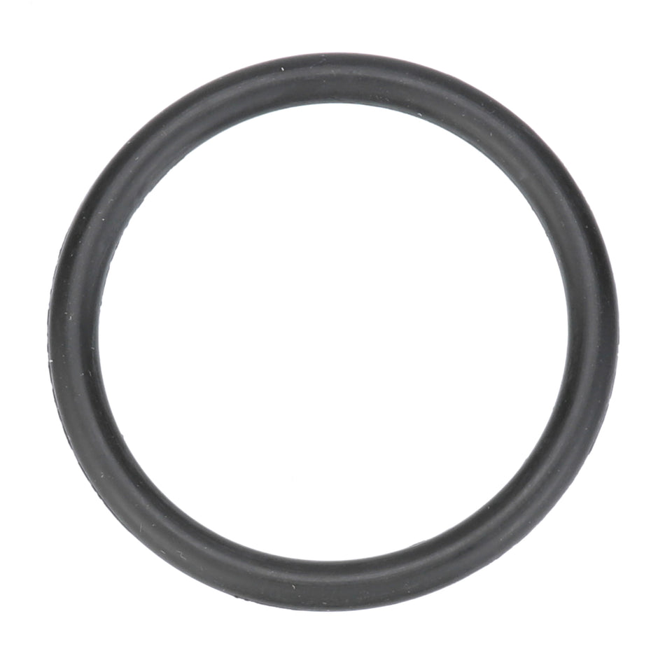 Hoshizaki O-Ring - 4A1234-01
