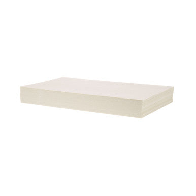 Pitco 100/PK Filter