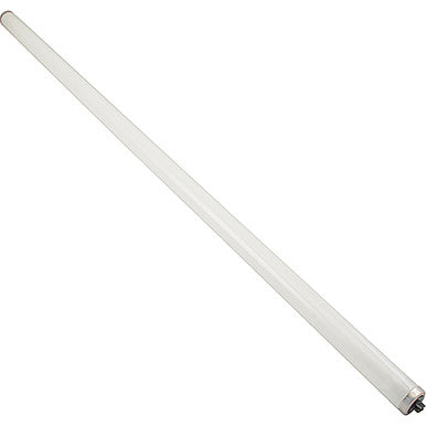 3600 Lumen Fluorescent Bulb