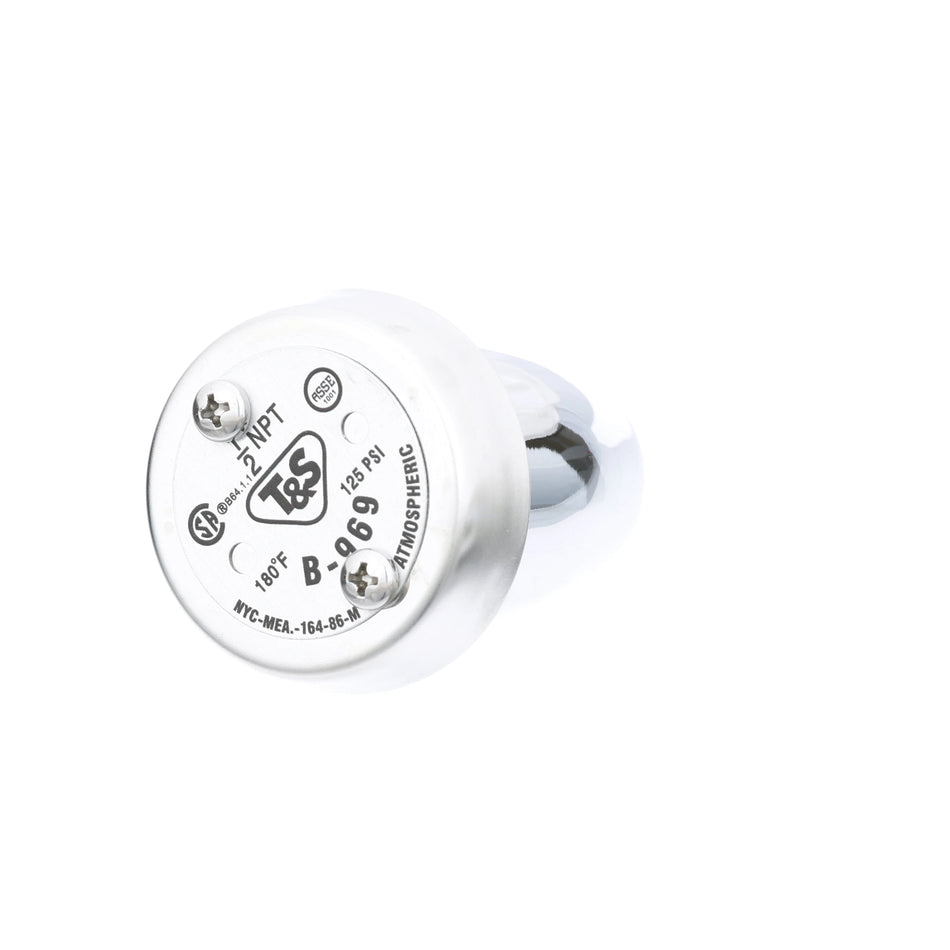 Hoshizaki Start Capacitor 165V - 4A2134-04