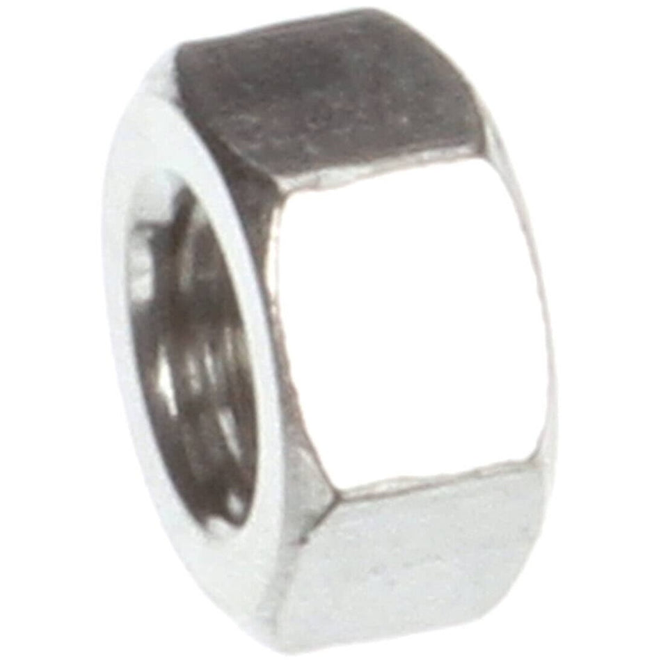 Champion 100154 Nut, Hx Plain, S/S, 5/16 in.-18