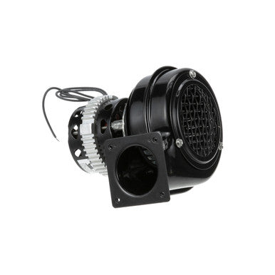50/60 Motor 115V