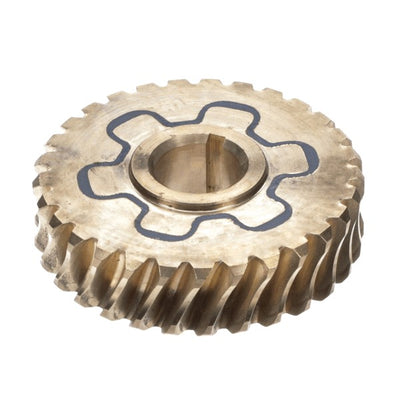 Hobart Insulated Worm Gear (HL120, HL200) - 00-917797-00002