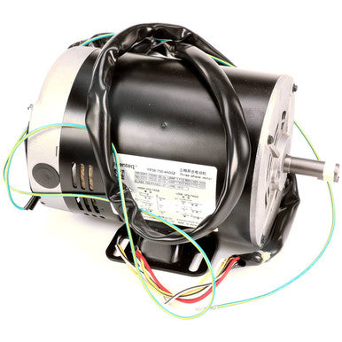 Spaceman Motor - Genteq P56AH60F41 - 750W - 220/60/3 3.3.01.04.005 – Genuine OEM Replacement Part