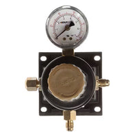 FBD Secondary Regulator 100 PSI Wall Mount - 22-2250-0001