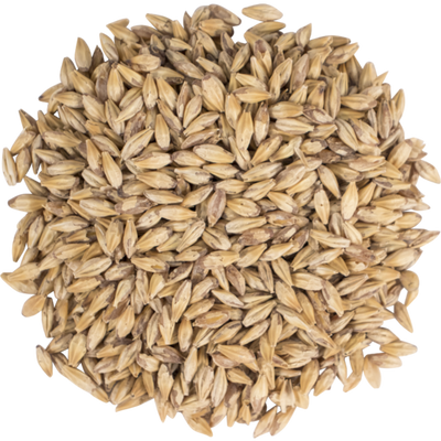 Briess Carapils® Malt - 10 lb Bag - Enhance Head & Body