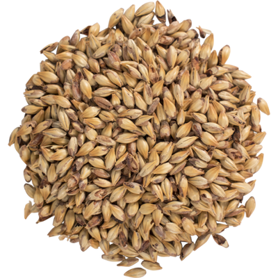 Briess Caramel 60L Specialty Malt - 10 lb Bag