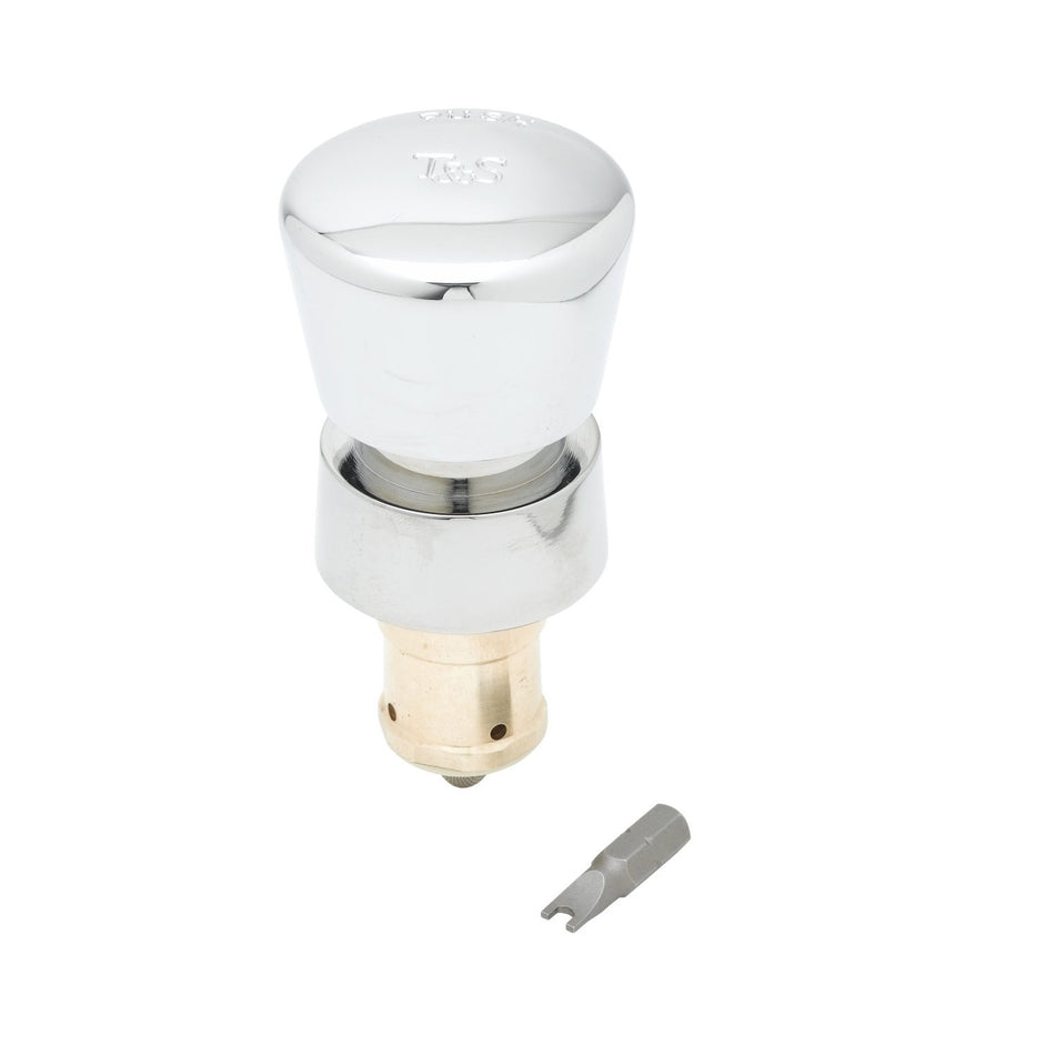 T&S 238AB Self Closing Metering Cartridge w/ Blank Push Button