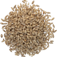 50lb 2-Row Briess Brewers Malt