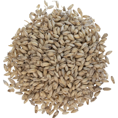 10lb 6-Row Premium High Enzyme Malt - Rahr Malting