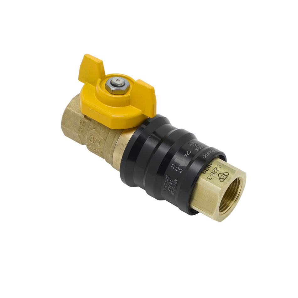 T&S AG-9D Combination Gas Valve w/ Quick Disconnect, 3/4" Female Connections