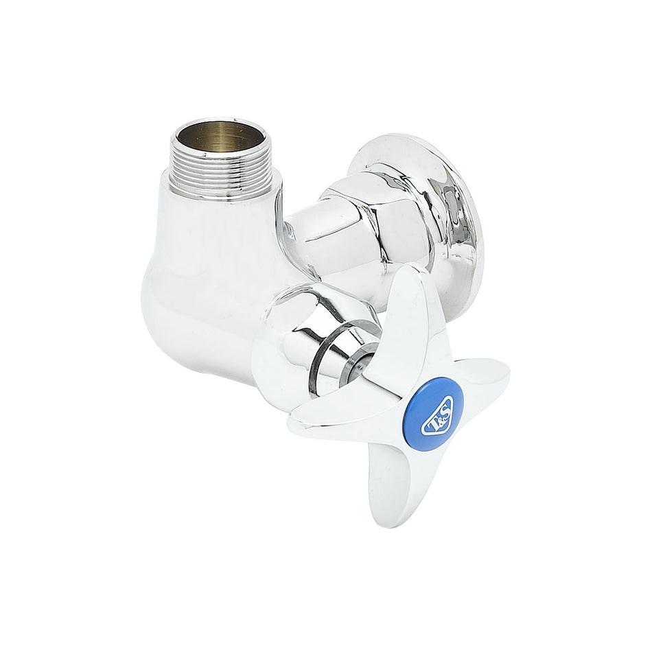 T&S B-0210-LN Single Sink Faucet, 1/2" IPS Female Inlet, Wall Mounted